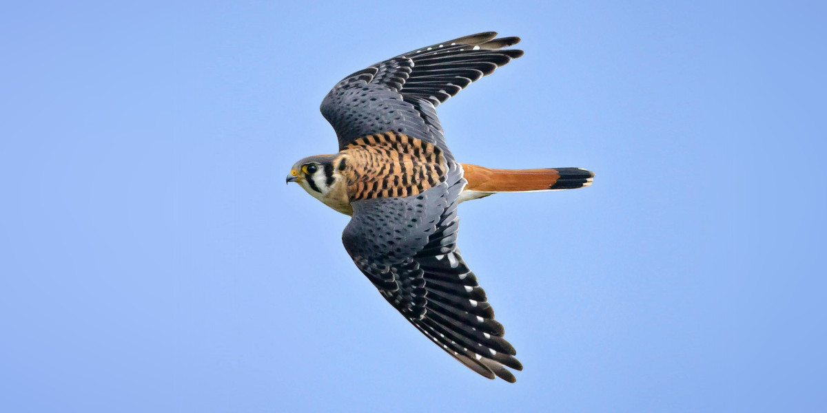 Why We Build This Way